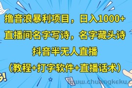 撸音浪暴利项目，日入1000+，直播间名字写诗，名字藏头诗，抖音半无人直播（教程+打字软件+直播话术）【揭秘】