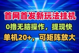 全网首发挂G，盒子自动賺米，单机20+，可矩阵放大，长期稳定运营【揭秘】