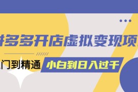 （6169期）拼多多开店虚拟变现项目：入门到精通 从小白到日入1000（完整版）6月13更新