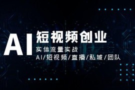 （11566期）AI短视频创业，实体流量实战，AI/短视频/直播/私域/团队