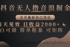 抖音无人撸音浪掘金，五月最新风口项目，当天见效，日收益多张，小白可做简单粗暴可矩阵【揭秘】
