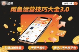 闲鱼运营技巧大全3.0，引爆店铺流量，手把手教你玩转二手电商平台