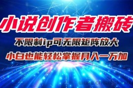 （16209期）小说创作者搬砖玩法，不限制IP简单无脑 可矩阵无限放大小白也能实现轻…