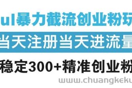 （13935期）Soul暴力截流创业粉玩法，当天注册当天进流量，日稳定300+精准创业粉丝