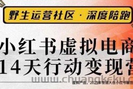 小红书虚拟电商14天变现训练营3.0，​虚拟产品，2025年普通人在小红书最后的搞钱机会