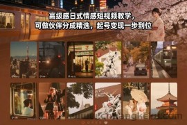 高级感日式情感短视频教学，可做伙伴分成精选，起号变现一步到位