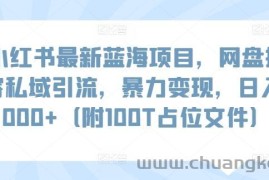 小红书最新蓝海项目，网盘扩容私域引流，暴力变现，日入1000+（附100T占位文件）【揭秘】