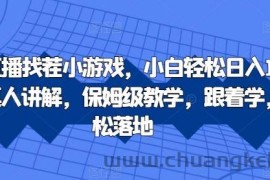 抖音直播找茬小游戏，小白轻松日入1k，需要真人讲解，保姆级教学，跟着学，轻松落地【揭秘】