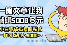 （3858期）一篇文章让我躺赚5000多元，小白零成本复制粘贴一样可以月入5000++