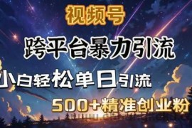 跨平台暴力引流，私域完美闭环，日引500+精准创业粉