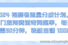 2024视频号流量分成计划，冷门监海赛道奇闻趣事，每天只需30分钟，轻松目赚 1000+【揭秘】