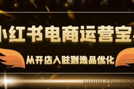 （12497期）小红书电商运营宝典：从开店入驻到选品优化，一站式解决你的电商难题