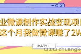 商业微课制作实战变现项目，这个月我做微课赚了2W+