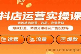 抖店运营实操课：涵盖基础设置、选品、流量获取、爆款打造、体验分维稳及广告投放等
