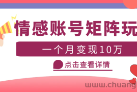 （5536期）云天情感账号矩阵项目，简单操作，月入10万+可放大（教程+素材）