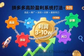 （15916期）拼多多高阶盈利系统打法-9月：选品+推广+活动+诊断+最新风口，月利润3-10w