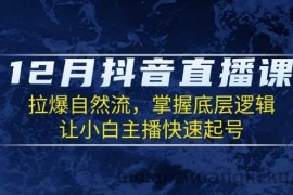 （13807期）12月抖音直播课：拉爆自然流，掌握底层逻辑，让小白主播快速起号