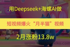 用Deepseek+海螺AI做短视频爆火“月半猫”视频，2月涨粉13.8w