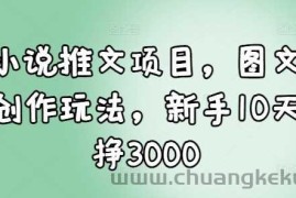 小说推文项目，图文创作玩法，新手10天挣3000