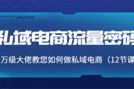 （3977期）私域电商流量密码：千万级大佬教您如何做私域电商（12节课）