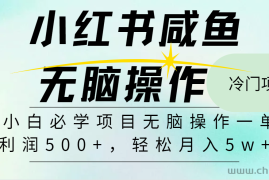 （11888期）2024最热门赚钱暴利手机操作项目，简单无脑操作，每单利润最少500