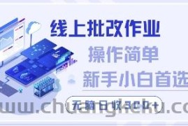 线上批改作业，操作简单新手小白首选，无脑日收300+【揭秘】