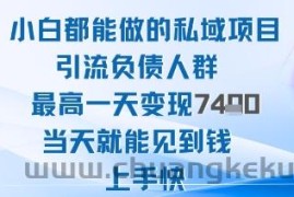 2025年小白都能做的私域项目引流负债人群最高一天变现1k+高变现难度低当天就能见到钱上手快