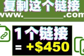 复制链接赚美元，一个链接可赚450+，利用链接点击即可赚钱的项目【视频教程】