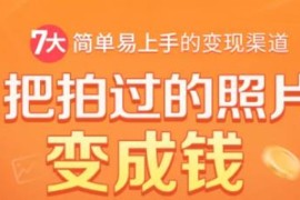 （1730期）把拍过的照片变成钱，一部手机教你拍照赚钱，随手月赚2000+