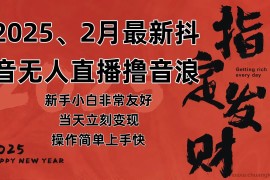 （14258期）2025年2月，最新抖音无人直播撸音浪