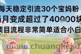 每天稳定引流30个宝妈粉当月变成超过了1W+项目流程非常简单适合小白