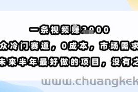 一条视频挣1k，小众冷门赛道，0成本，市场需求大，是未来半年最好做的项目，没有之一