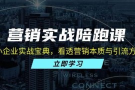 （13146期）营销实战陪跑课：中小企业实战宝典，看透营销本质与引流方法论