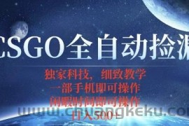 CSGO自动捡漏项目，最新独家玩法，一个手机即可操作，新手小白轻松月入1W+，操作简单易上手【揭秘】