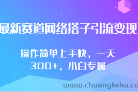 最新赛道网络搭子引流变现!!操作简单上手快，一天300+，小白专属