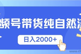 （13998期）视频号带货，纯自然流，起号简单，爆率高轻松日入2000+