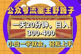 （12866期）公众号流量主野路子玩法，一天20分钟，日入300~400，小白一学就会