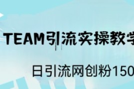 （6578期）ST TEAM引流实操课，日引流网创粉100+