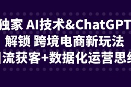 （6599期）独家 AI技术&amp;ChatGPT解锁 跨境电商新玩法，引流获客+数据化运营思维