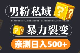 (6677)男粉项目，一个作品变现1000+，新渠道新玩法，一部手机实现月入过万