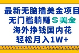 （13411期）最新海外无脑撸美金项目，无门槛躺赚美金，海外挣钱国内花，月入一万加