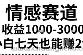 2025最新风口情感无脑暴力掘金项目，新人操作一周挣了2W，长期稳定小白可做【揭秘】