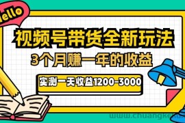 （13211期）24年下半年风口项目，视频号带货全新玩法，3个月赚一年收入，实测单日…