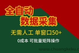 全自动数据采集，无需人工，单窗口50+，0成本可批量矩阵操作【揭秘】