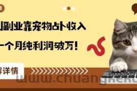 从兴趣到副业靠宠物占卜收入翻3倍一个月纯利润破W