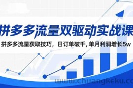 （16563期）拼多多流量双驱动实战课：拼多多流量获取技巧，日订单破千,单月利润增长5w