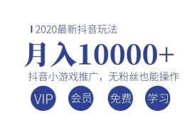 （1075期）2020最新抖音玩法：抖音小游戏推广，无粉丝也能操作，月入10000+