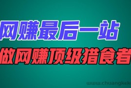 网赚最后一站，卖项目，做网赚顶级猎食者