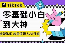 TikTok底层逻辑及短视频运营方法系列课，运营体系，底层逻辑，认知升级