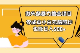 （3908期）人人都能操作的微头条最新暴力撸金项目，零成本小白无脑搬运也能日入500+